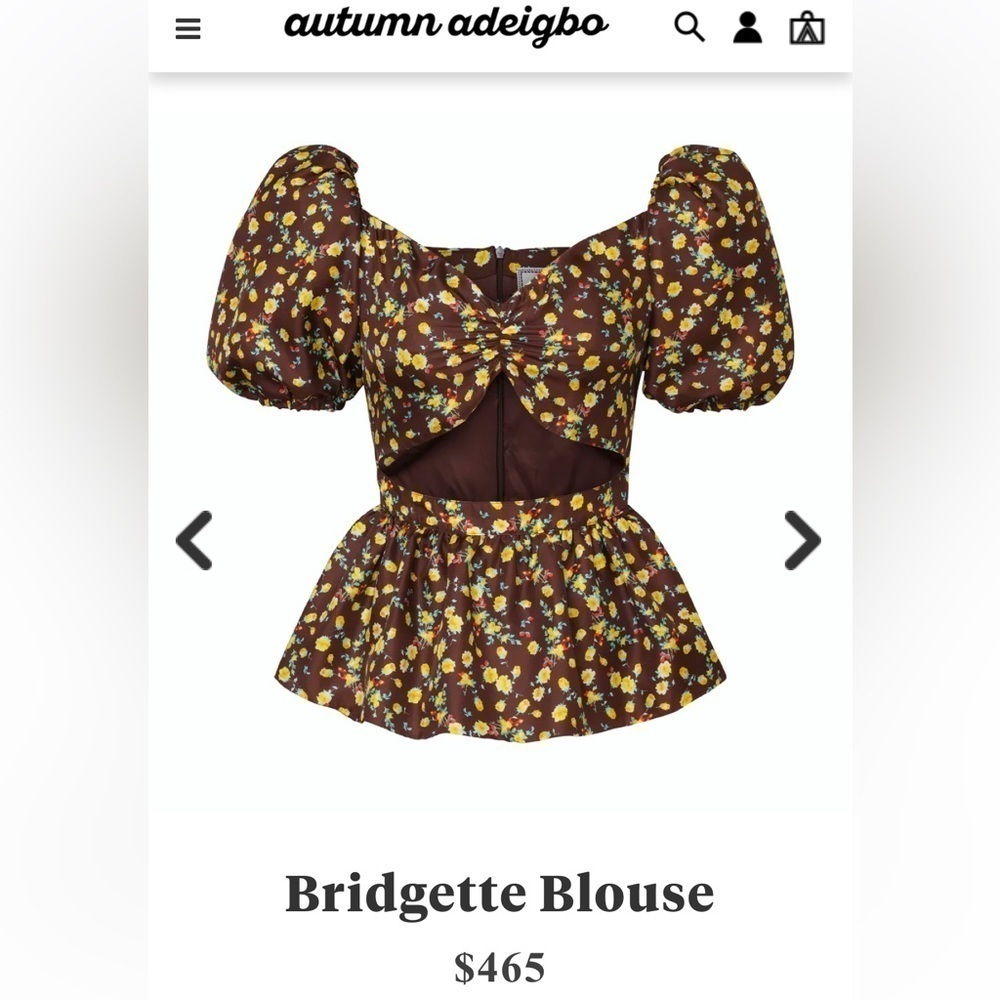 Autumn Adeigo blouse, size 10